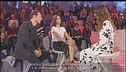 Stefano Accorsi e Kasia Smutniak