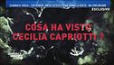 Cosa ha visto Cecilia Capriotti?
