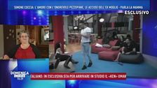 Simone Coccia dal Gf alle accuse dell'ex moglie