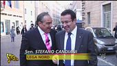 Vespone e l'autonomia del Nord