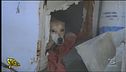 Salerno, animali richiusi in pessime condizioni