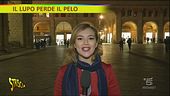 Dermes, il lupo perde il pelo ma non il vizio