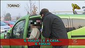 Auto senza assicurazione