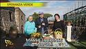 La borragine di Massa Lubrense