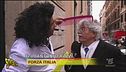 Una bella "pettinata"
