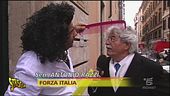 Una bella "pettinata"