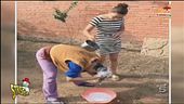 Shampoo con incidente a catena