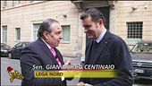 Politica 2017, il bilancio del Vespone