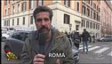 Sindrome di disposofobia: vittime i gatti