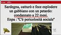 Per i like fa esplodere un gabbiano