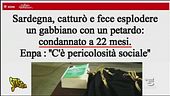 Per i like fa esplodere un gabbiano