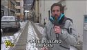 Cervi sbranati da un cane
