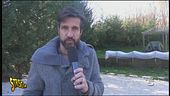 Roma, cani presi a calci e pugni