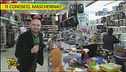 Carnevale e prodotti pericolosi