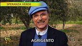 L'ape nera siciliana