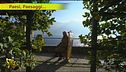 Limonaie del Garda