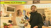 Tapiro a Barbara d'Urso