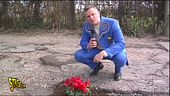 Fiori nei buchi stradali a Lavinio (Roma)