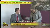 Torino, caporalato e lavoro nero