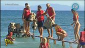 Giochi farlocchi all'Isola
