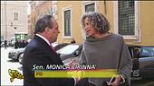 Vespone a primavera