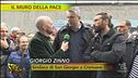 Il muro della pace