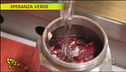 Speranza Verde:<br>il radicchio