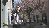 Sacchetti compostabili