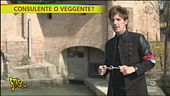 Consulente poco corretto