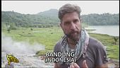 Delfinari e zoo<br>in Indonesia