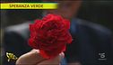 Rose a speranza Verde