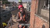 Rondoni a Milano