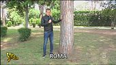 Strade dissestate a Roma