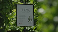 Il giardino di Diana