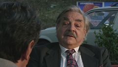 Un nuovo 'buon amico, Zio Stefano'