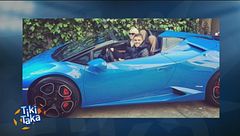 Tiki Spy di Parpiglia