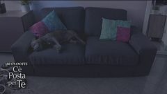 Tutte le emozioni della quarta puntata