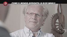VIVIANI: Come il mondo affronta la Blue Whale