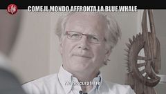 VIVIANI: Come il mondo affronta la Blue Whale