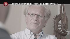 VIVIANI: Come il mondo affronta la Blue Whale