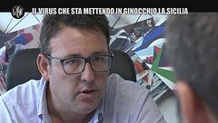 PECORARO: Il virus che sta mettendo in ginocchio la Sicilia