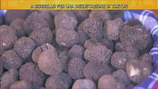 Il tartufo di Borrello