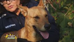 Puntata del 16 dicembre