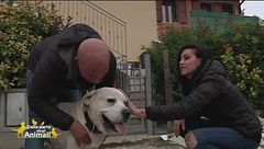 La storia di Sansone