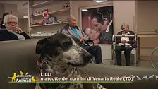 La storia di Lilli