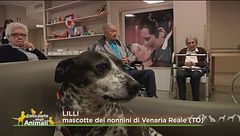 La storia di Lilli