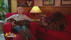 Gli amici a quattro zampe di Davide Mengacci