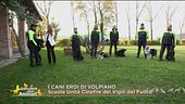 I cani eroi di Volpiano