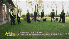 I cani eroi di Volpiano