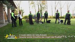 I cani eroi di Volpiano